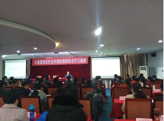说明: IMG_257